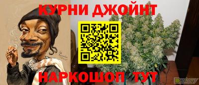 амф Новозыбков