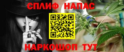 амф Новозыбков
