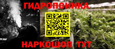гашиш Новодвинск