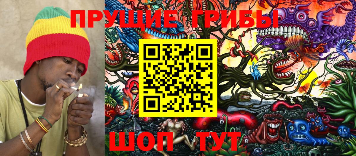 Петропавловск-Камчатский  Галлюциногенные грибы Psilocybe  Вход с VPN  Галлюциногенные грибы мицелий 