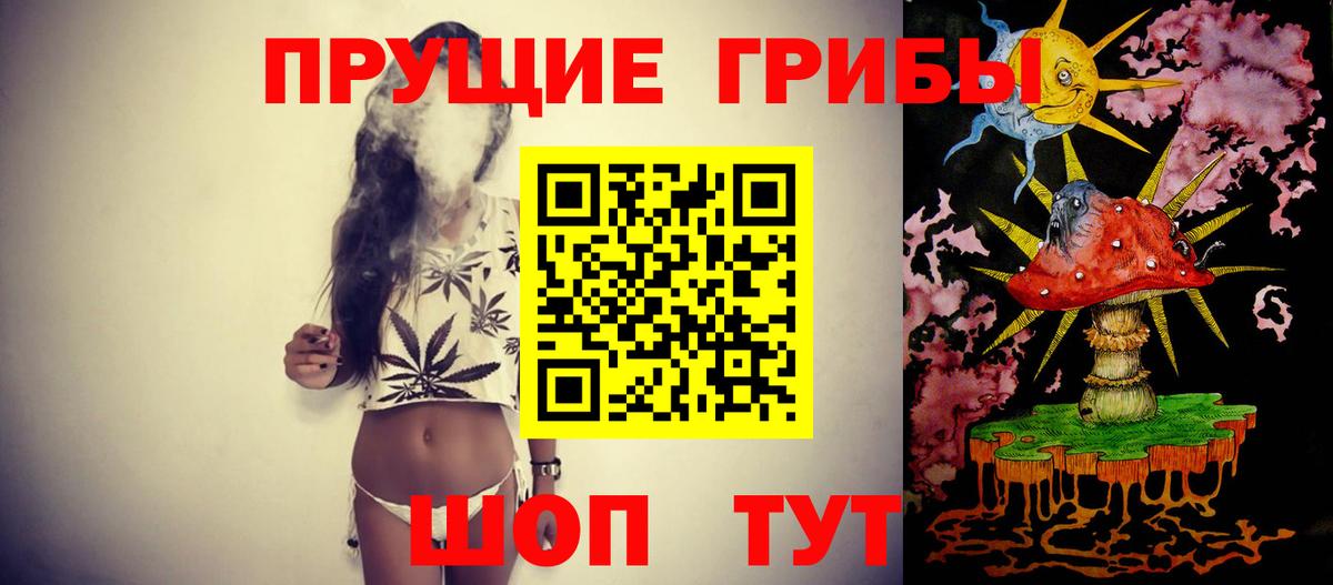 Галлюциногенные грибы Psilocybe Петропавловск-Камчатский